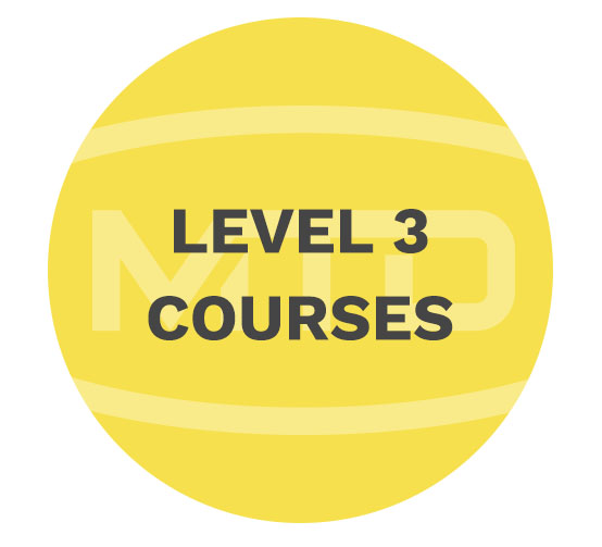 MTD Services Level3 courses