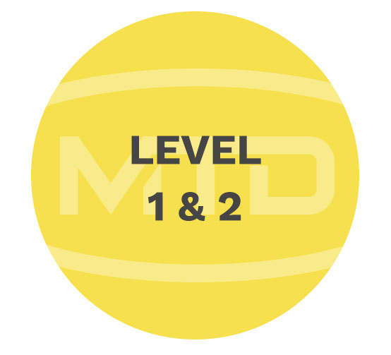 MTD Services level1 2