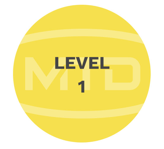 MTD Services level1